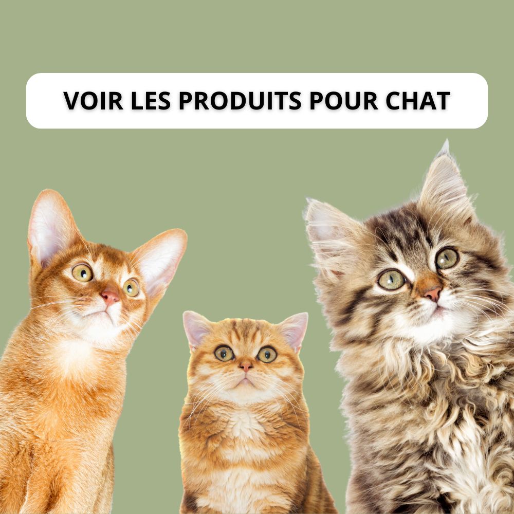 Chats