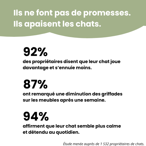 Griffoir interactif pour chats