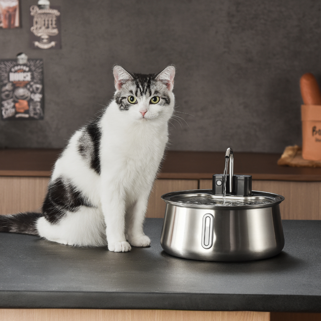 Filtre 2.0 & 2.2L Pour Fontaine à Chat