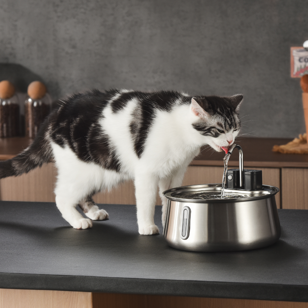 Filtre 2.0 & 2.2L Pour Fontaine à Chat