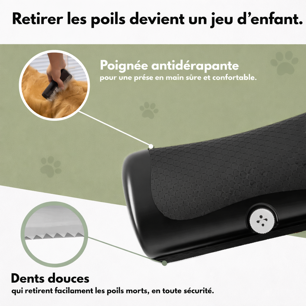 Brosse de toilettage