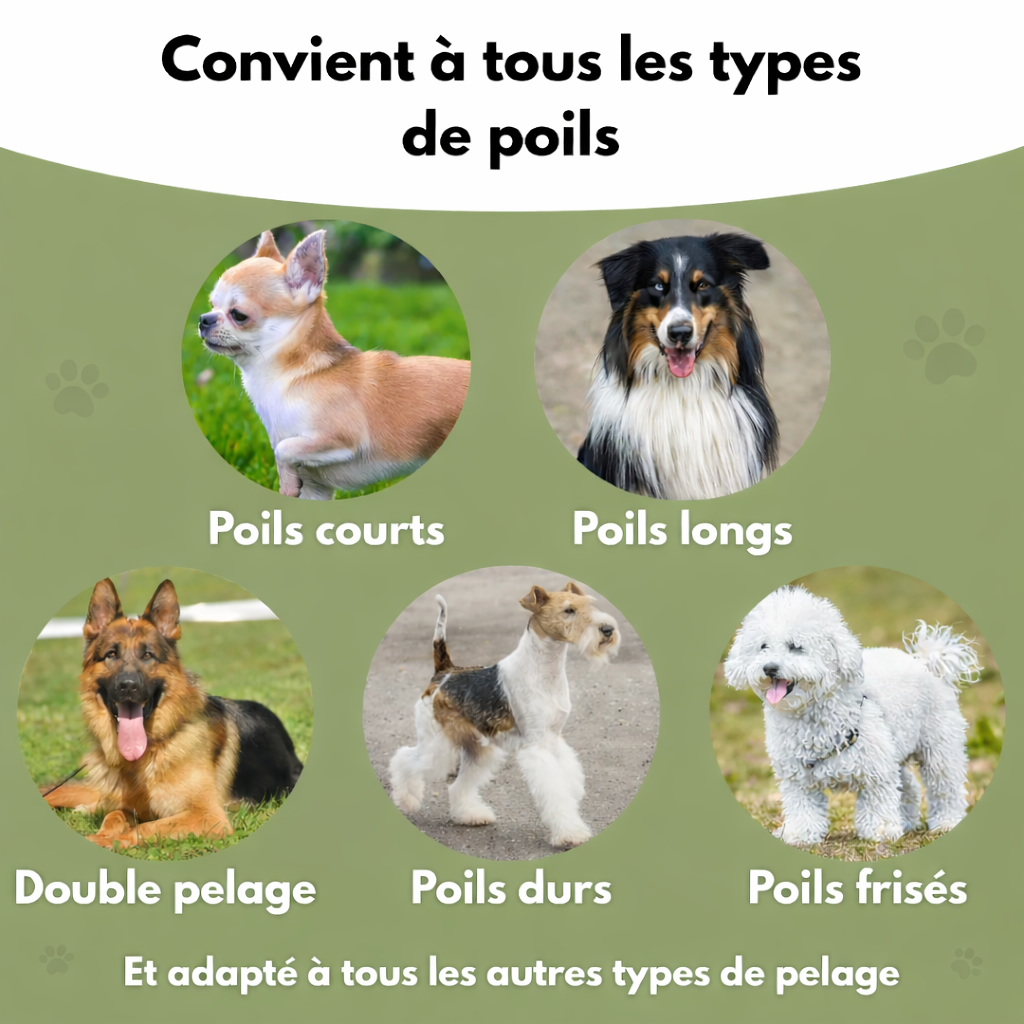 Brosse de toilettage