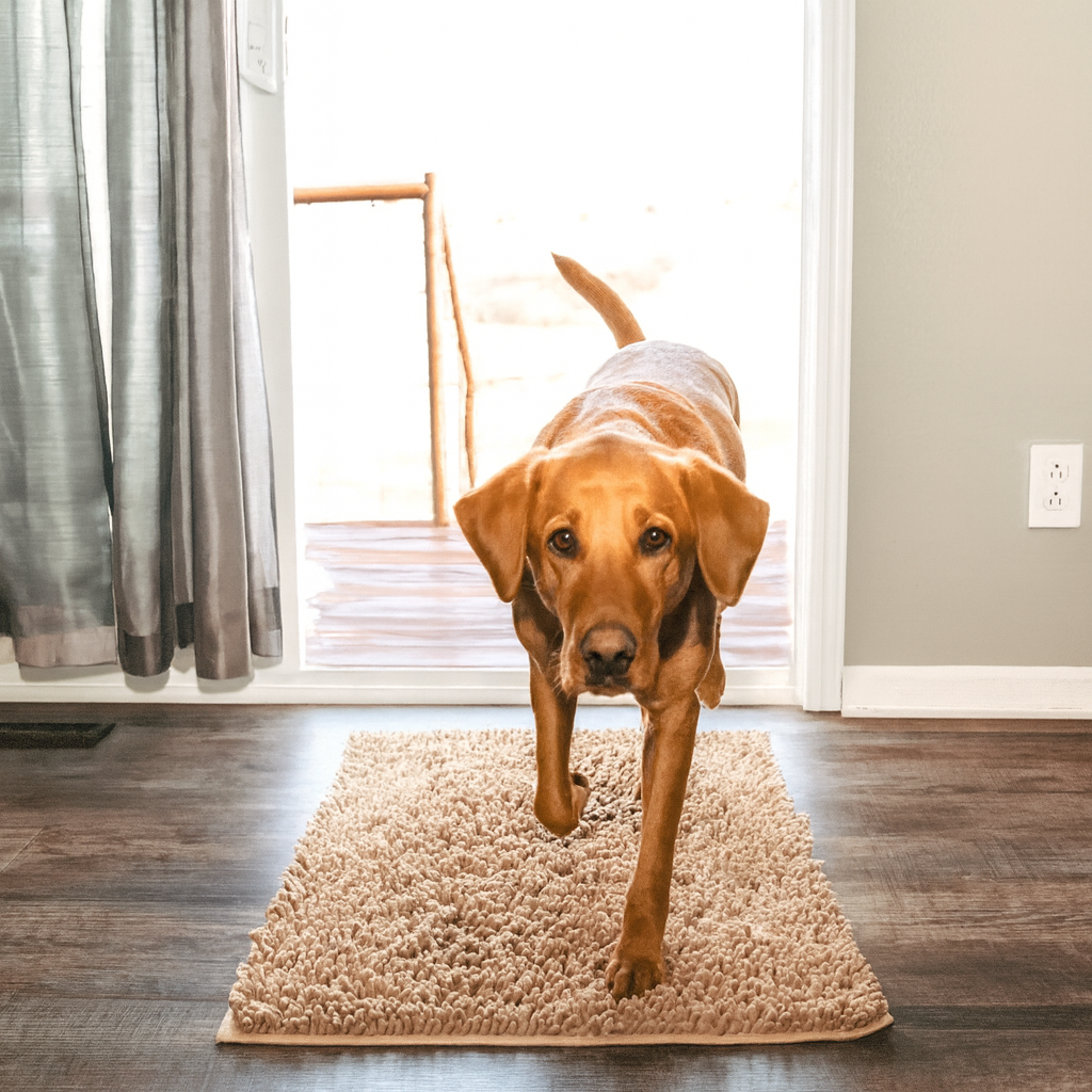 Tapis ultra-absorbant - pattes d'animaux