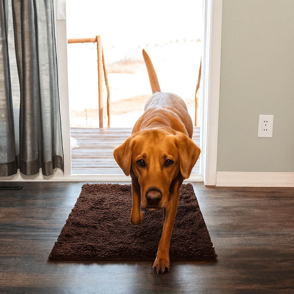 Tapis ultra-absorbant - pattes d'animaux