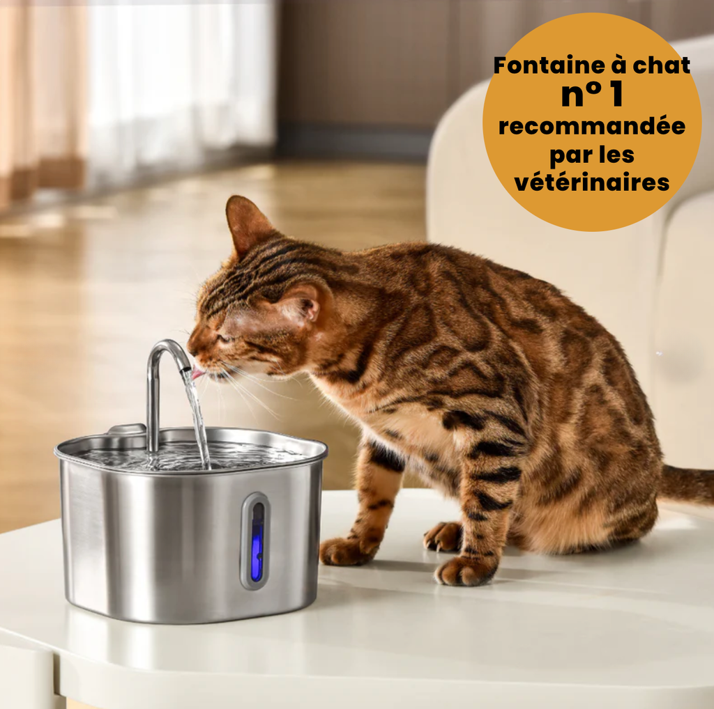 Fontaine Cocon™️ | 2.2 litres