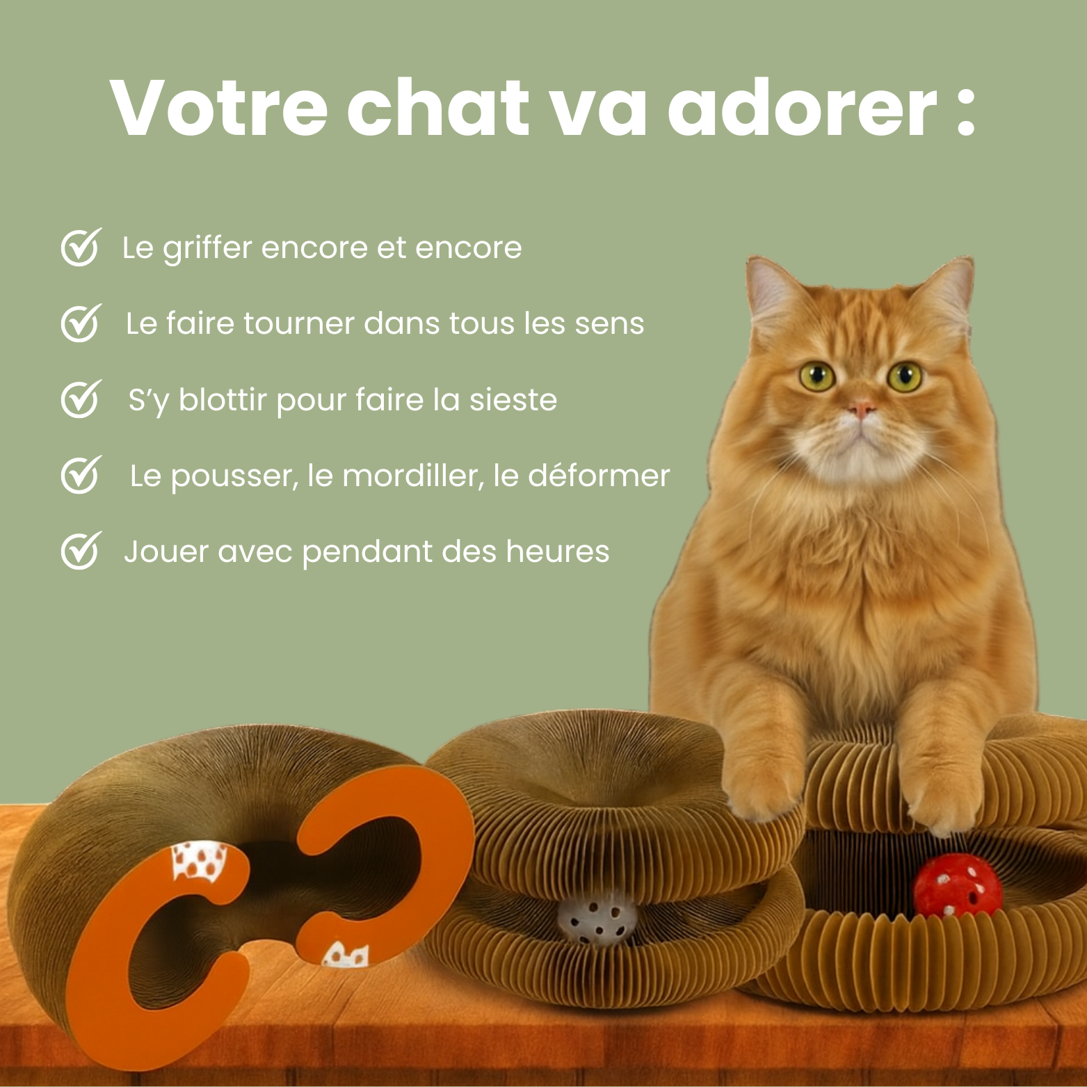 Griffoir interactif pour chats