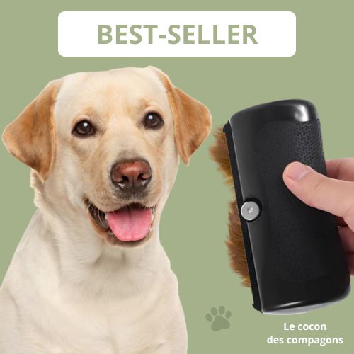 Brosse de toilettage