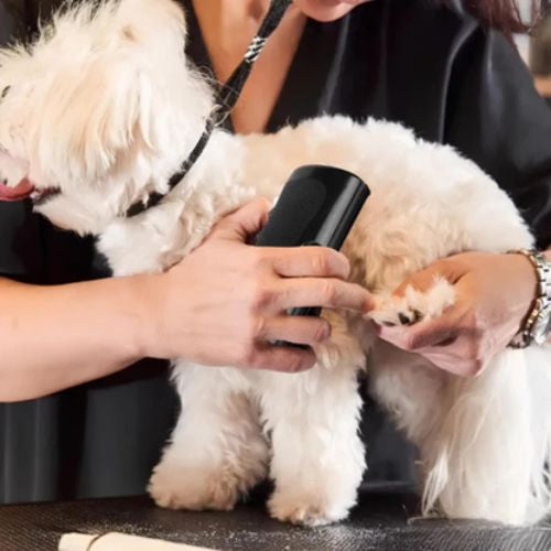 Brosse de toilettage