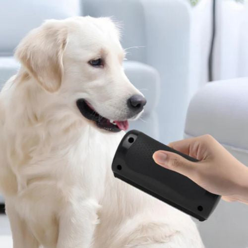 Brosse de toilettage