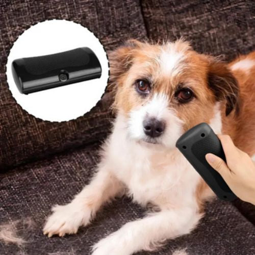 Brosse de toilettage