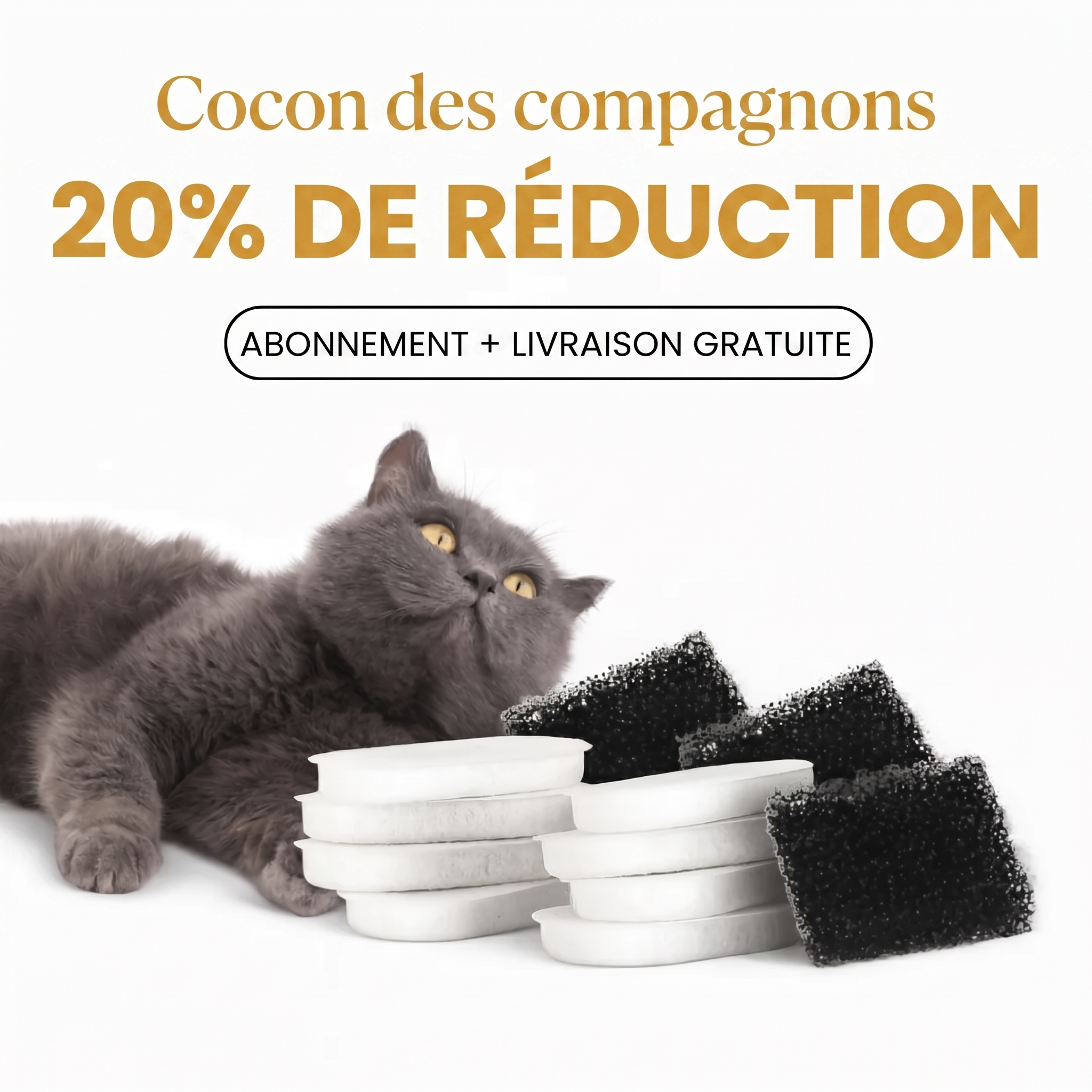 Filtre 2.0 & 2.2L Pour Fontaine à Chat